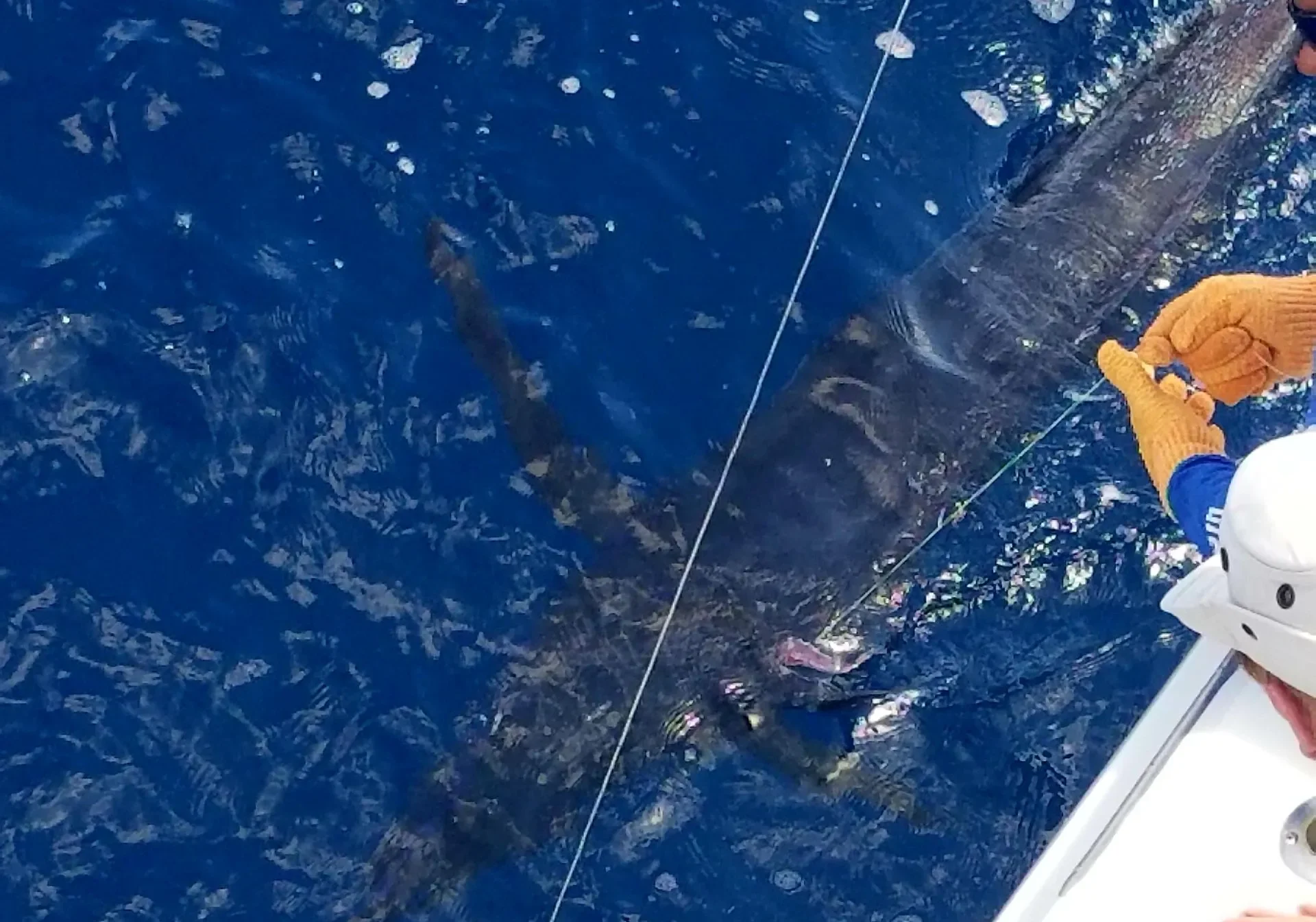 20180122_121422-2880w