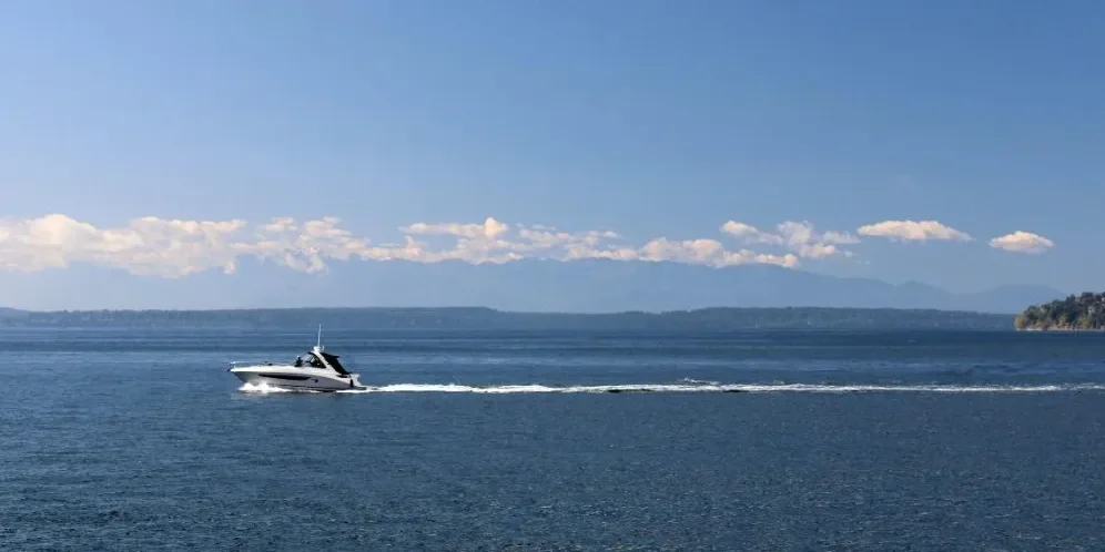 Screenshot--2861-29-76d12058-1920w