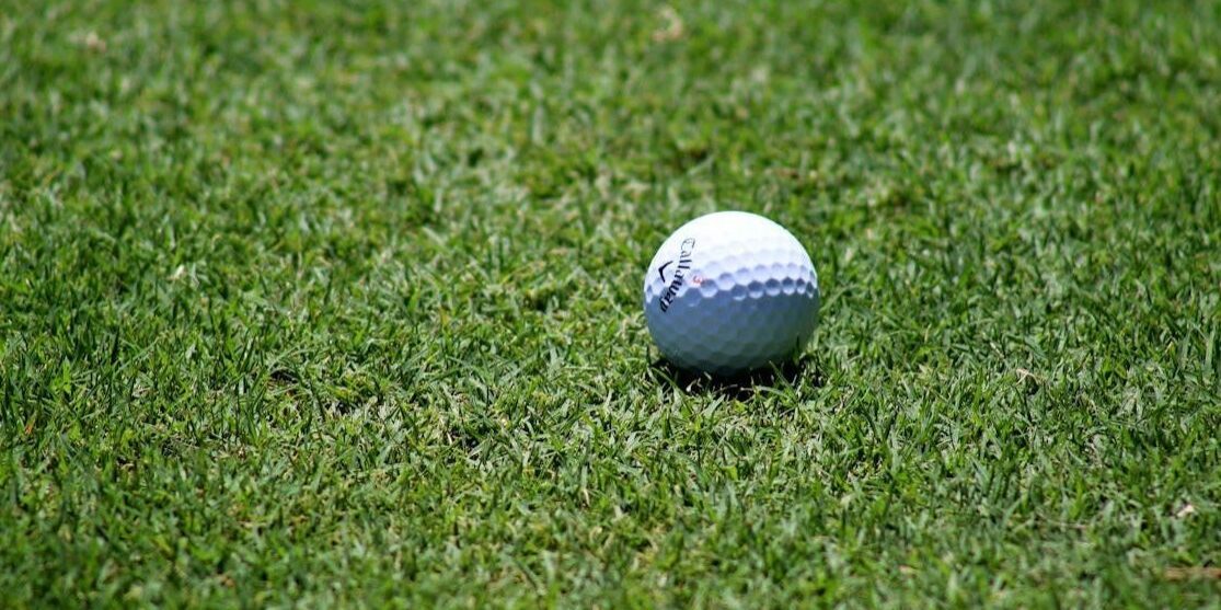 pexels-photo-137523-213929dd-1920w