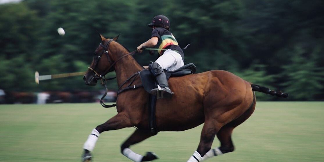 pexels-photo-2889030-0e9b7732-1920w